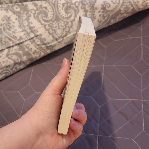 The Most Misunderstood Women of the Bible by Mary DeMuth - Picture 3 of 4